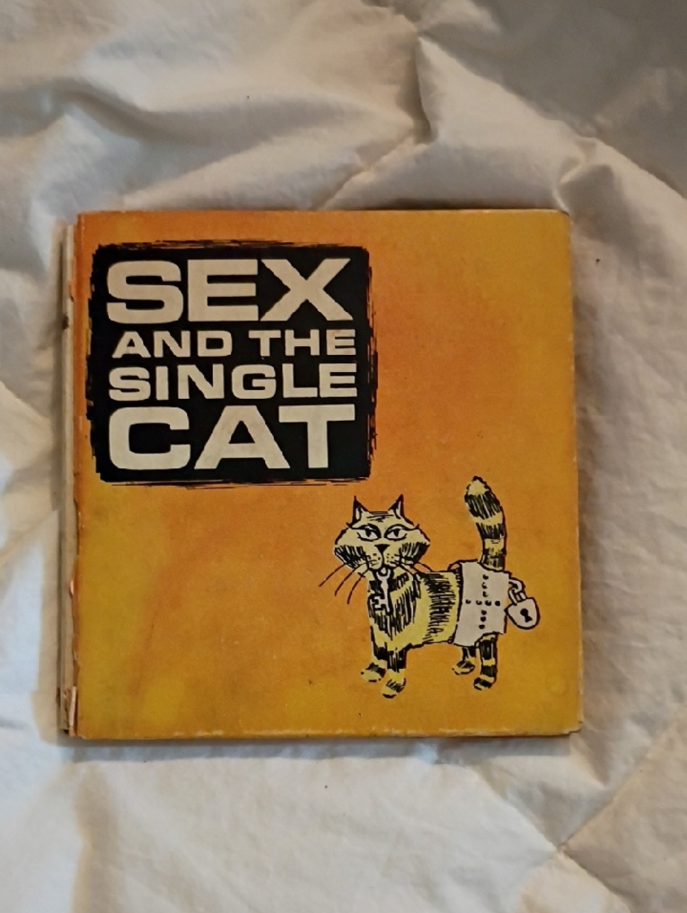 Vintage Book
